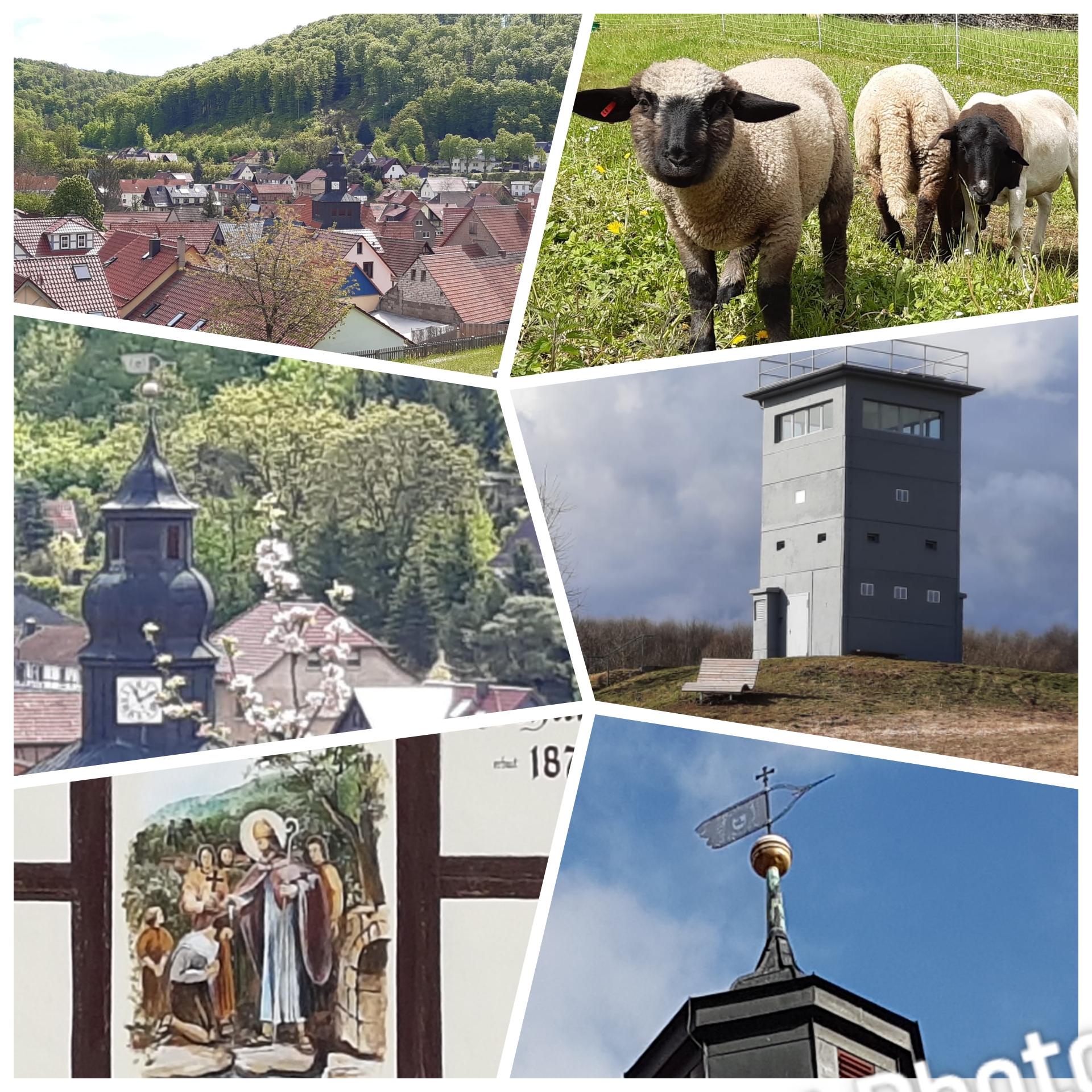 Bild 12