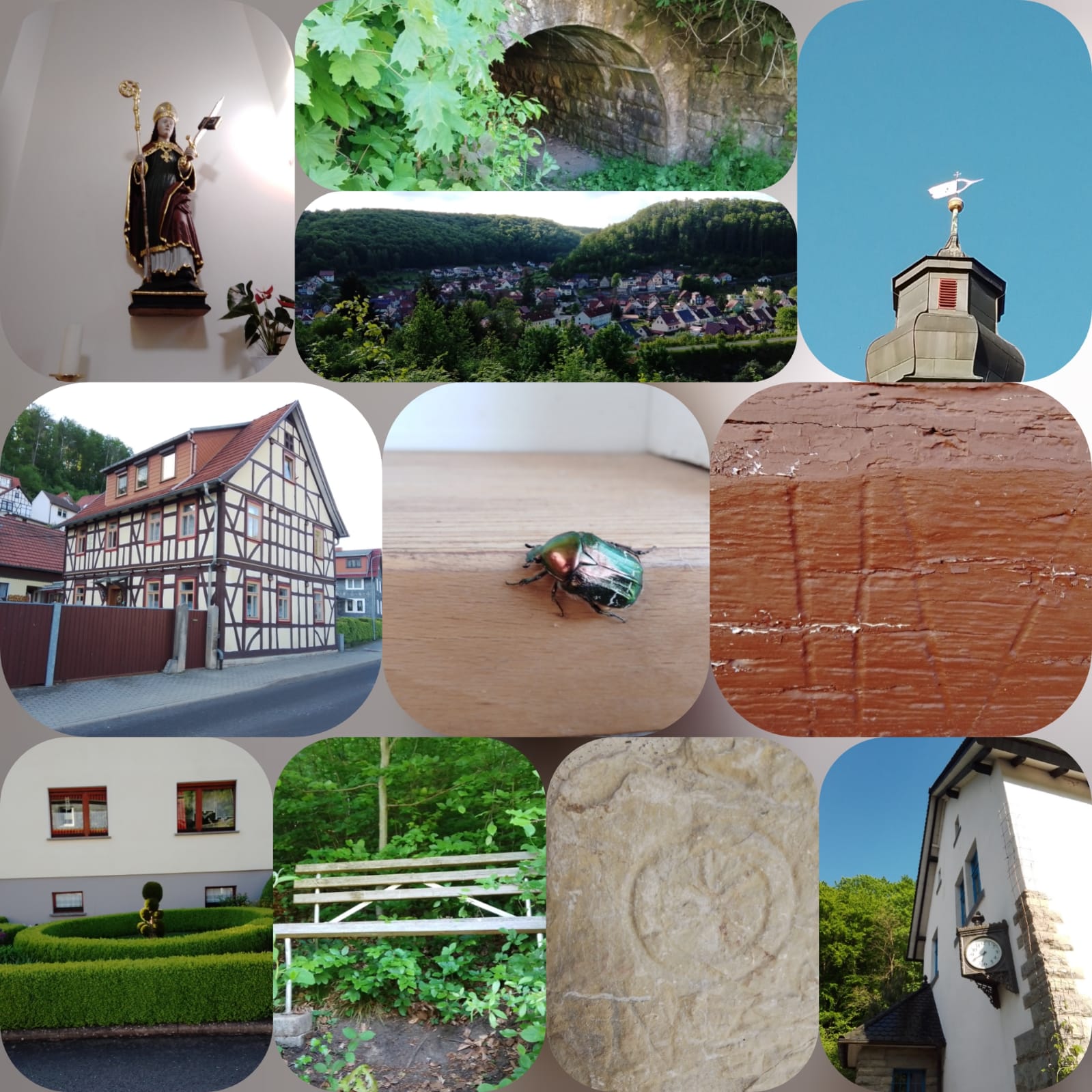 Bild 13
