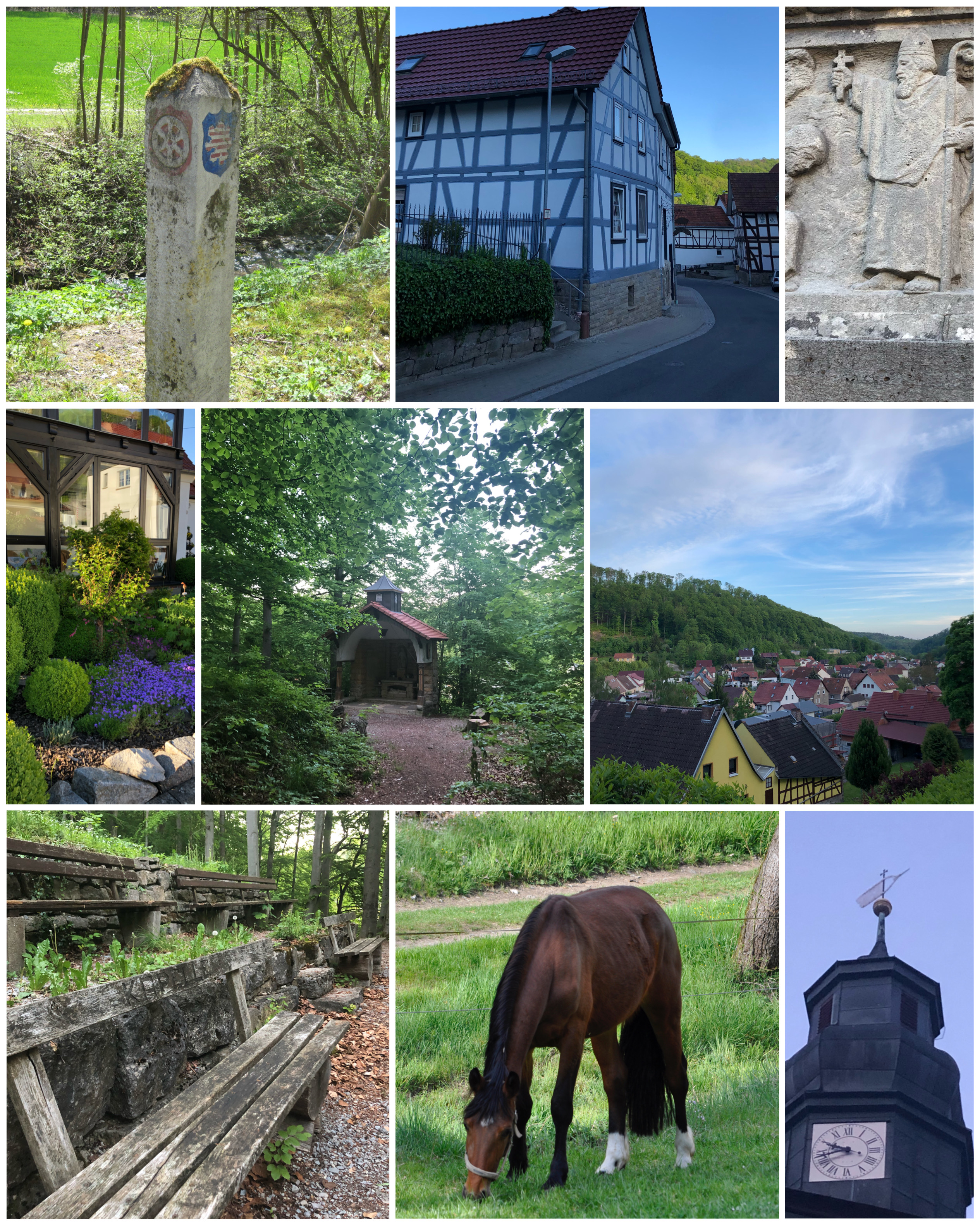 Bild 14