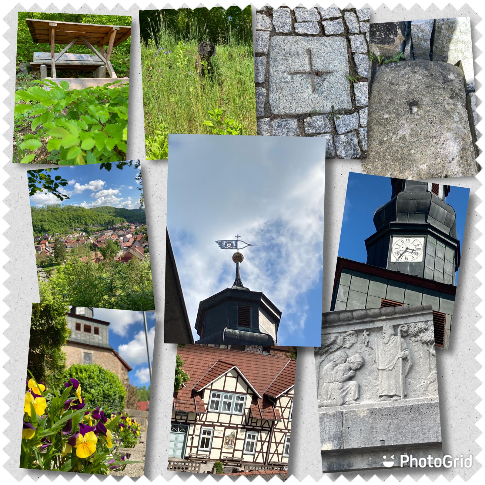 Bild 15