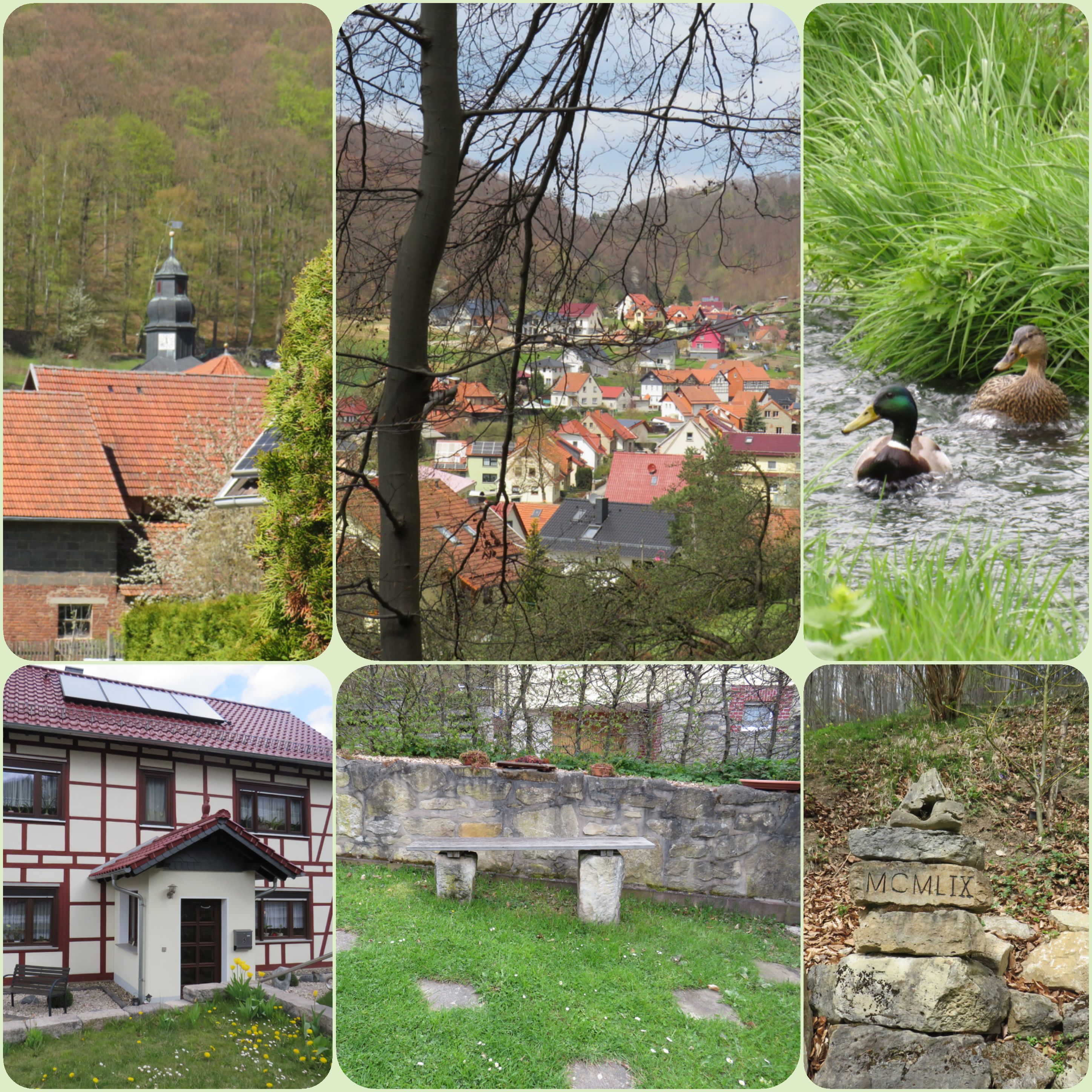 Bild 5
