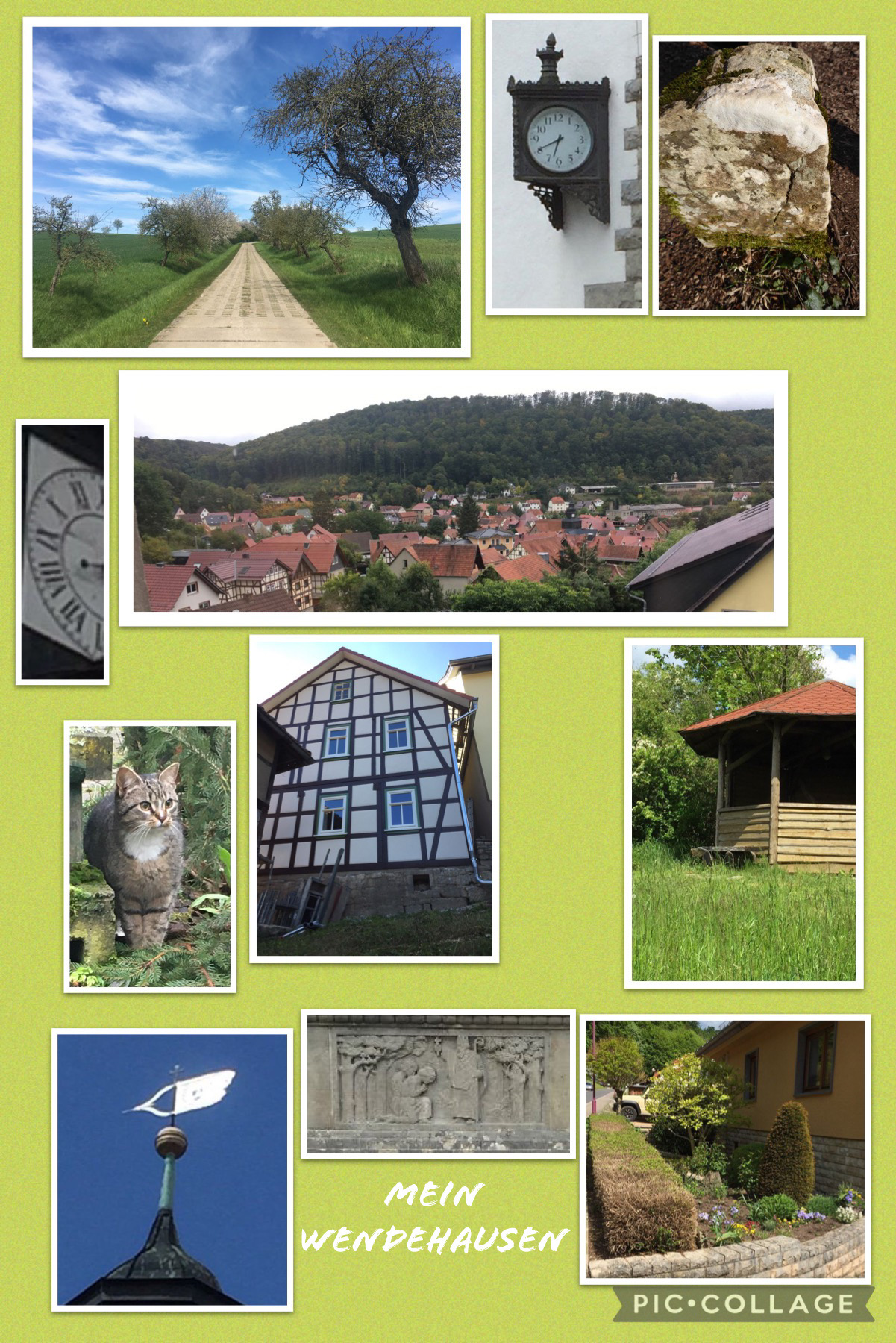 Bild 7