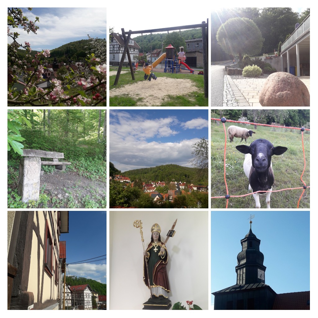 Bild 8
